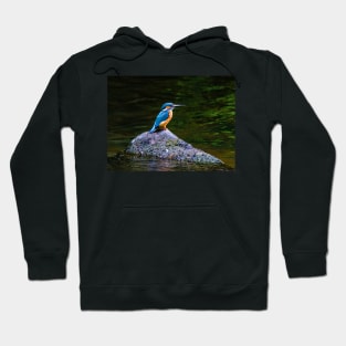 Kingfisher Hoodie